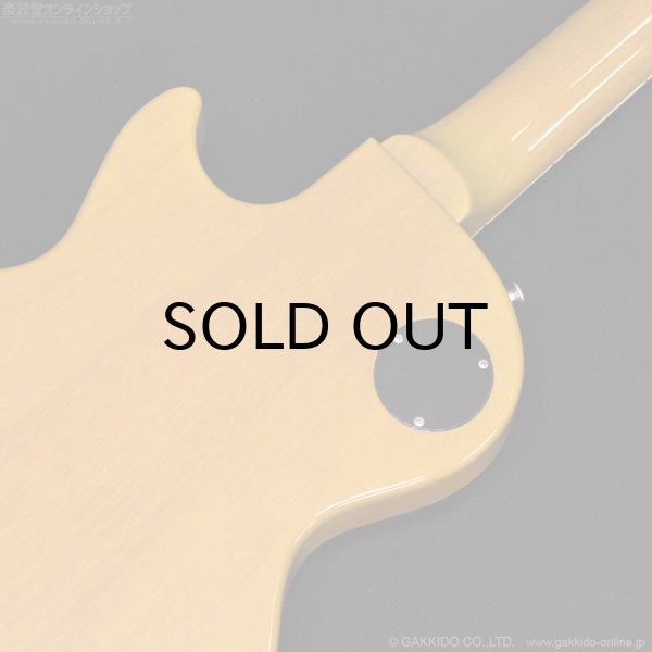 画像12: Tokai　2020 LSS230 SYW [中古品] (12)