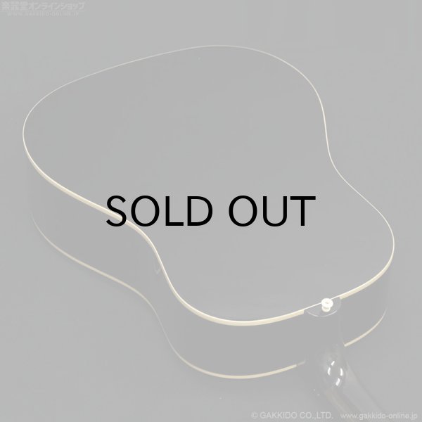 画像13: Epiphone　Inspired By Gibson Custom Kazuyoshi Saito J-45 2026 (13)