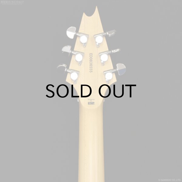 画像8: Edwards　E-CS-160 Crying Star [中古品] (8)