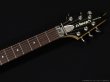 画像5: Edwards　E-CS-160 Crying Star [中古品] (5)