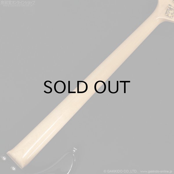 画像10: Atelier Z　2014 Beta4 Plus Custom BK/M(MH) [中古品] (10)