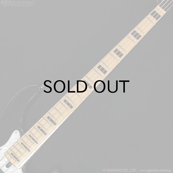 画像9: Atelier Z　2014 Beta4 Plus Custom BK/M(MH) [中古品] (9)
