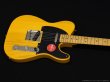 画像3: Squier　Classic Vibe '50s Telecaster [Butterscotch Blonde] (3)