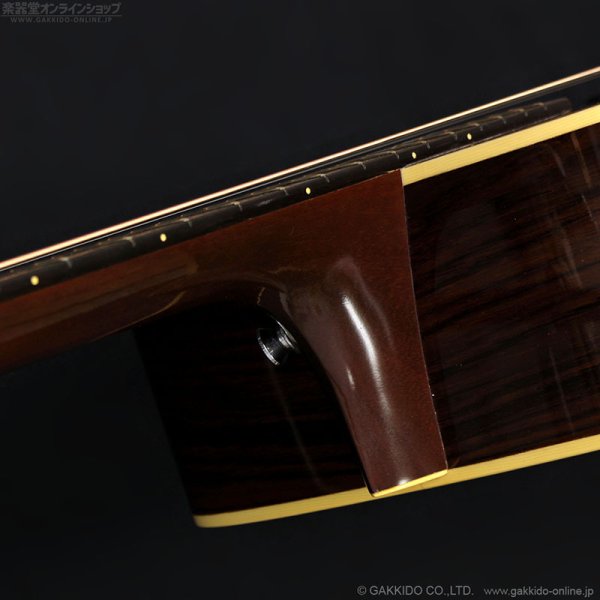 画像19: Martin　1999 D-28GE Golden Era [中古品] (19)