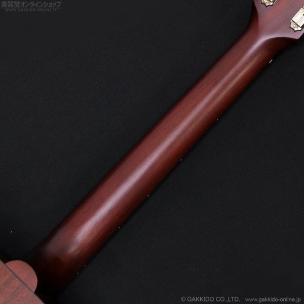 画像8: Gibson　LG-2 All Mahogany Faded [Natural] (8)