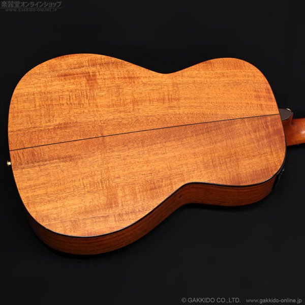 画像16: Takamine　2011 PTU431K N [中古品] (16)