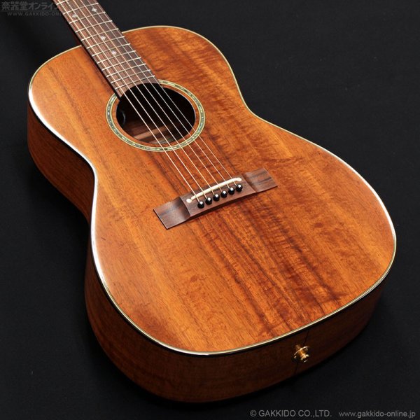 画像4: Takamine　2011 PTU431K N [中古品] (4)