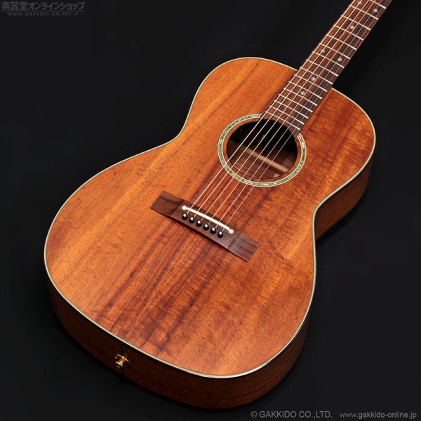 画像3: Takamine　2011 PTU431K N [中古品] (3)