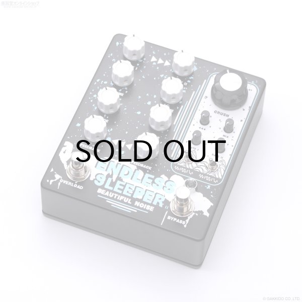画像1: Beautiful Noise Effects　ENDLESS SLEEPER II デュアル・ディレイ 直輸入品 (1)