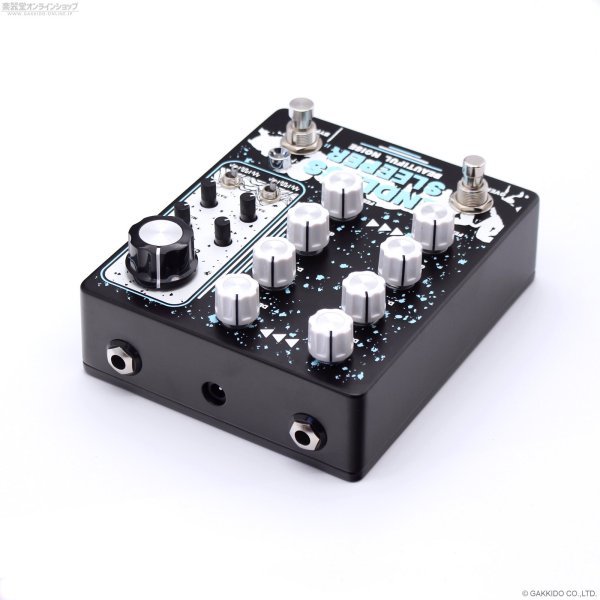画像3: Beautiful Noise Effects　ENDLESS SLEEPER II デュアル・ディレイ 直輸入品 (3)
