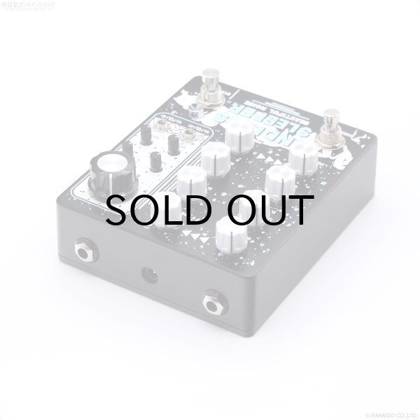 画像3: Beautiful Noise Effects　ENDLESS SLEEPER II デュアル・ディレイ 直輸入品 (3)
