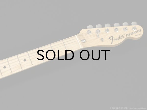 画像6: Fender　Made in Japan Traditional 70s Telecaster Thinline [Natural] [中古品] (6)