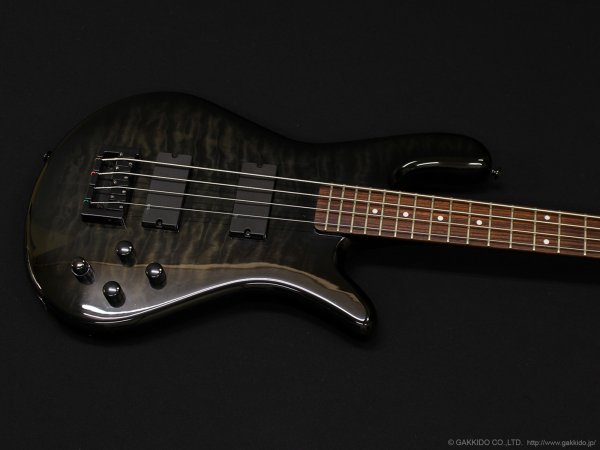 画像3: Spector　Legend 4 Custom [Black Stain Gloss] [中古品] (3)