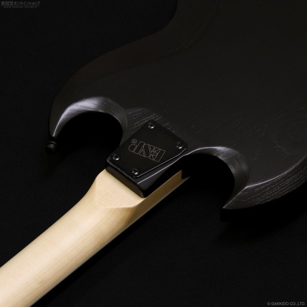 画像9: Edwards　E-VIPER-1H ABK [Alternative Black] (9)