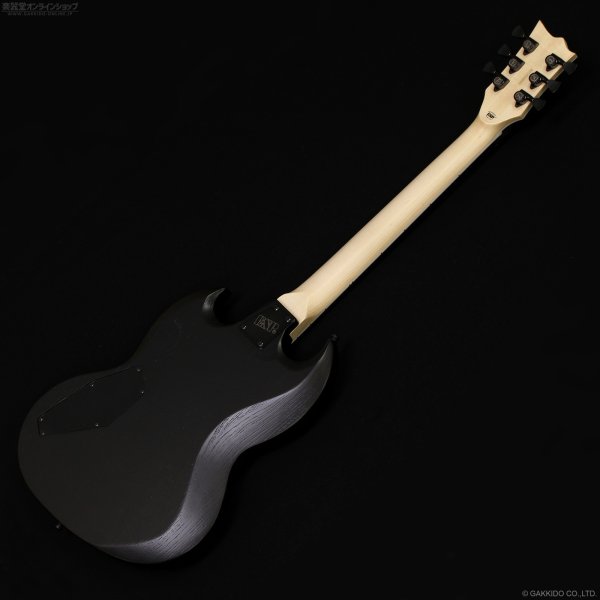画像10: Edwards　E-VIPER-1H ABK [Alternative Black] (10)