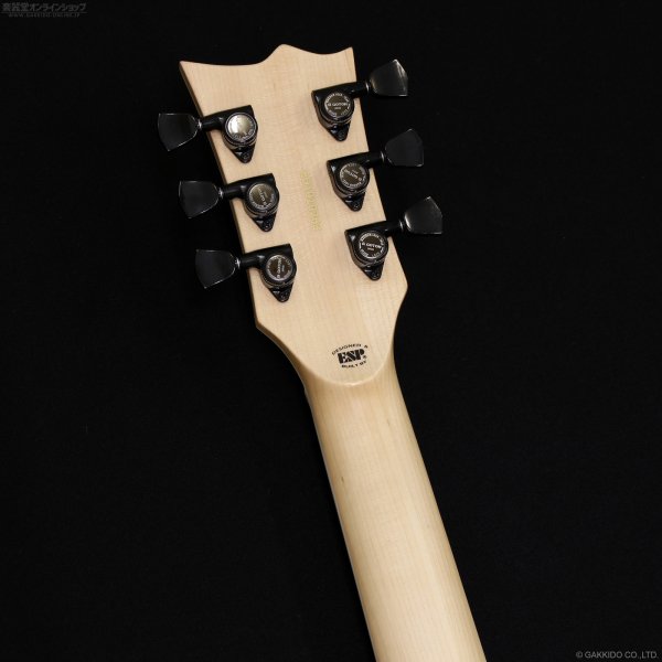 画像7: Edwards　E-VIPER-1H ABK [Alternative Black] (7)