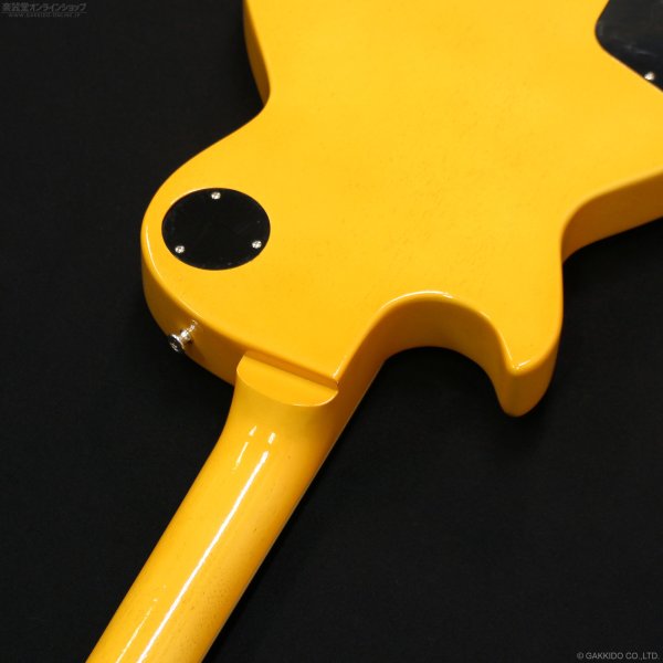 画像8: Edwards　E-LS-LTD [TV Yellow] (8)