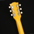 画像7: Edwards　E-LS-LTD [TV Yellow] (7)