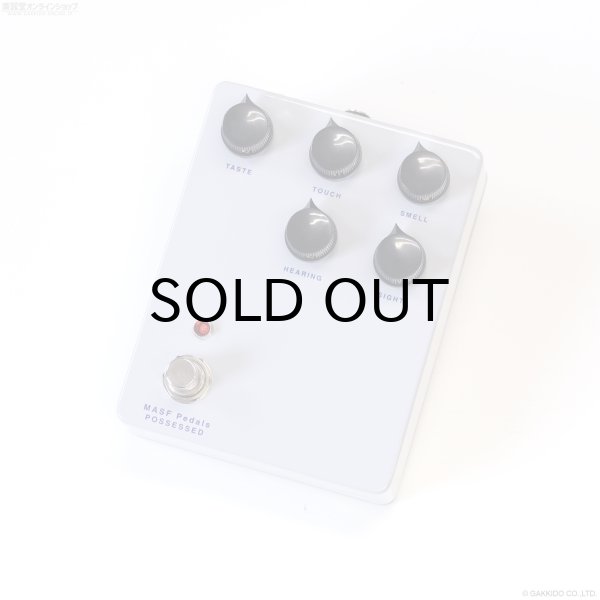 画像1: MASF Pedals　Possessed (1)