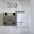 画像5: Banzai　New Rising Sun II (5)