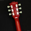 画像7: Grassroots　G-LP-STD [Cherry Sunburst] (7)