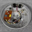 画像5: Organic Sounds　Orga Fuzz 66 NKT274 (5)