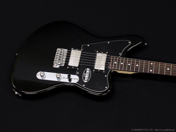 画像3: Schecter　OL-AR-TM-2H [Black] (3)