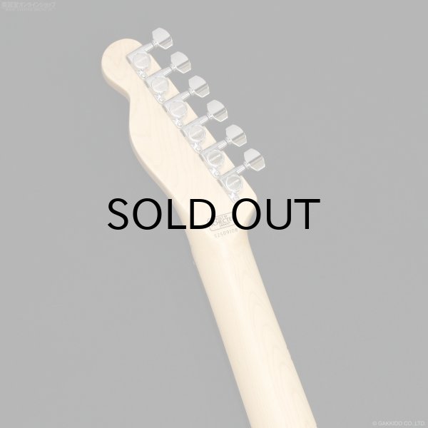 画像7: SCHECTER　PA-LS/TK [Blonde] (7)