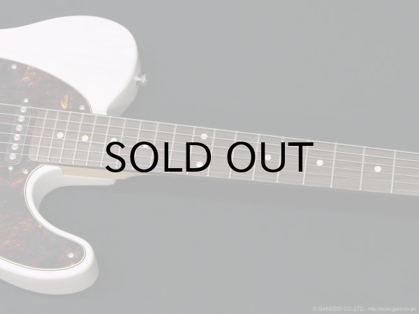 画像4: SCHECTER　PA-LS/TK [Blonde] (4)