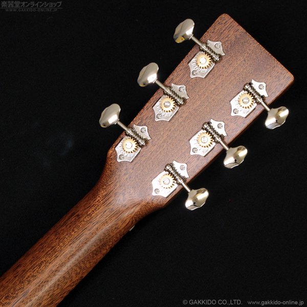 画像6: Martin　D-X2E Billy Strings (6)