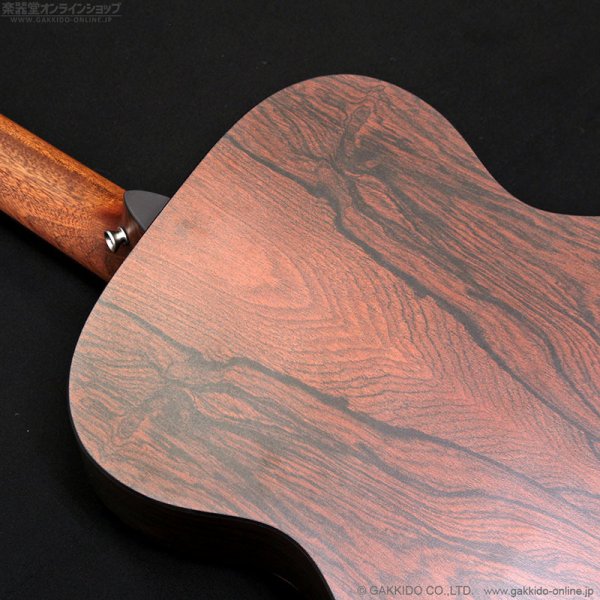 画像7: Martin　00-X2E Coco (7)