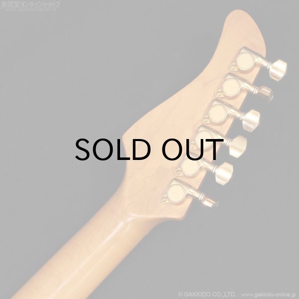 画像14: FERNANDES　FR-150Sタイプ [中古品] (14)