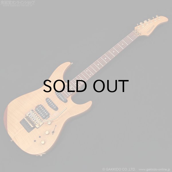 画像1: FERNANDES　FR-150Sタイプ [中古品] (1)