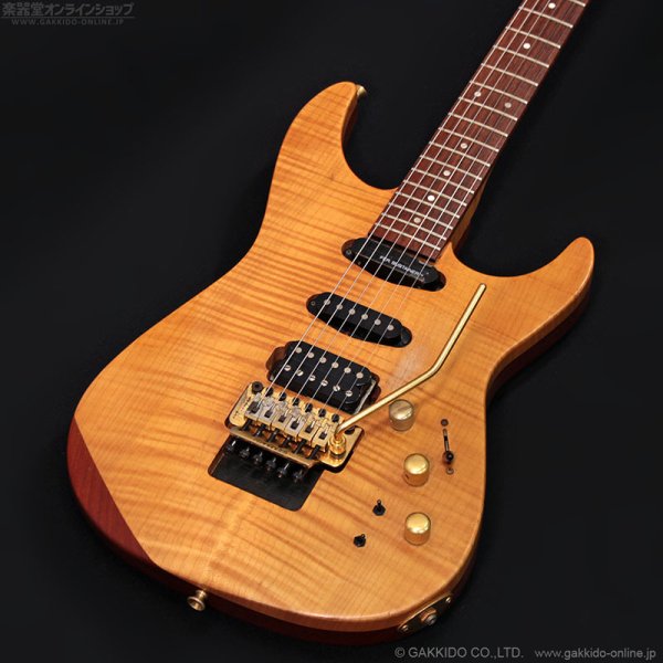 画像3: FERNANDES　FR-150Sタイプ [中古品] (3)