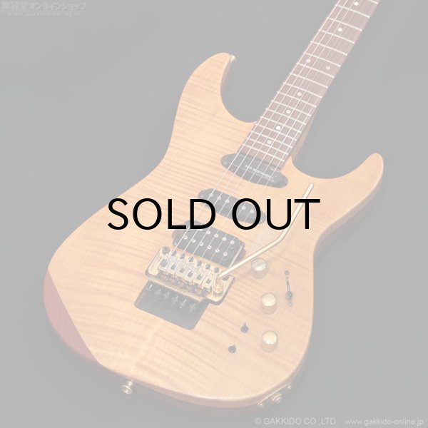 画像3: FERNANDES　FR-150Sタイプ [中古品] (3)