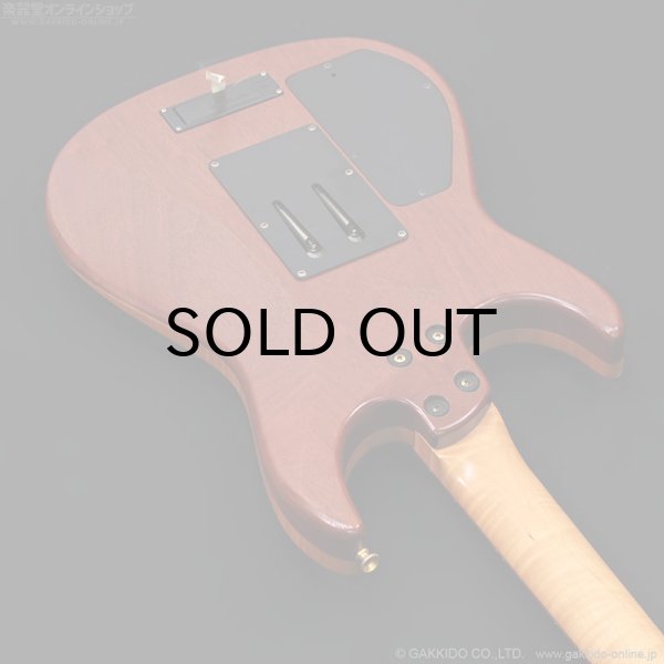 画像18: FERNANDES　FR-150Sタイプ [中古品] (18)
