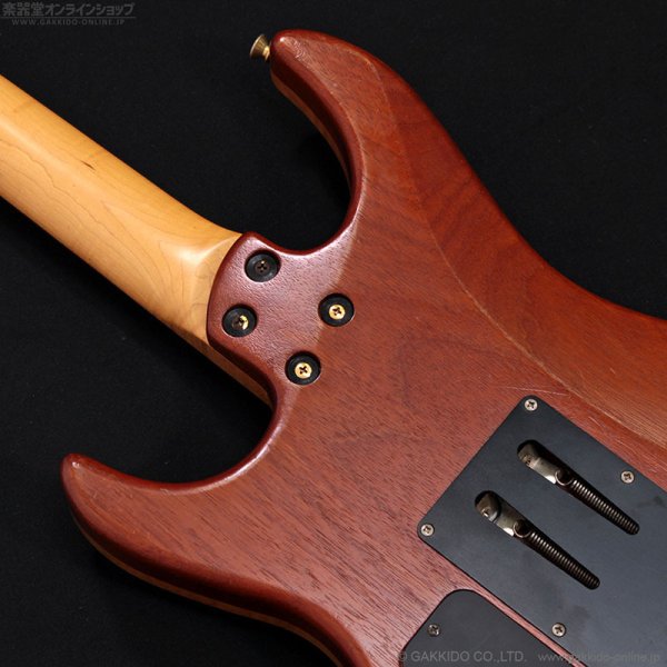 画像15: FERNANDES　FR-150Sタイプ [中古品] (15)