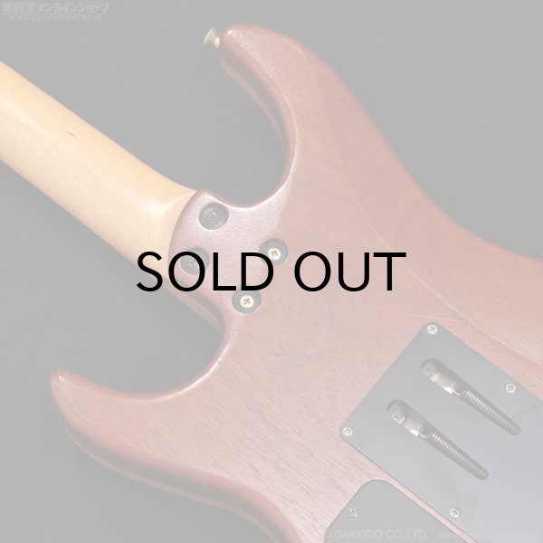 画像15: FERNANDES　FR-150Sタイプ [中古品] (15)