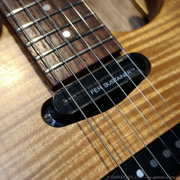 画像8: FERNANDES　FR-150Sタイプ [中古品] (8)