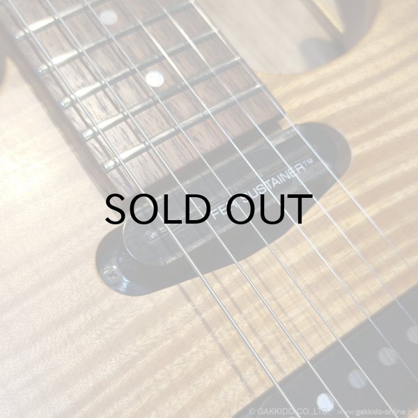 画像8: FERNANDES　FR-150Sタイプ [中古品] (8)