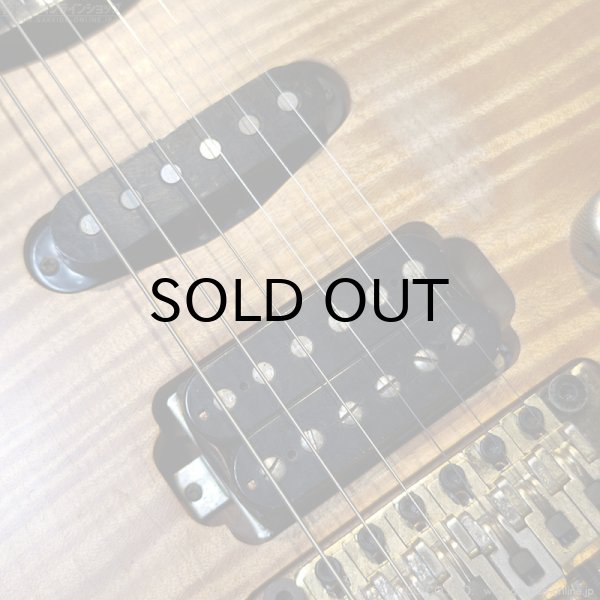 画像9: FERNANDES　FR-150Sタイプ [中古品] (9)
