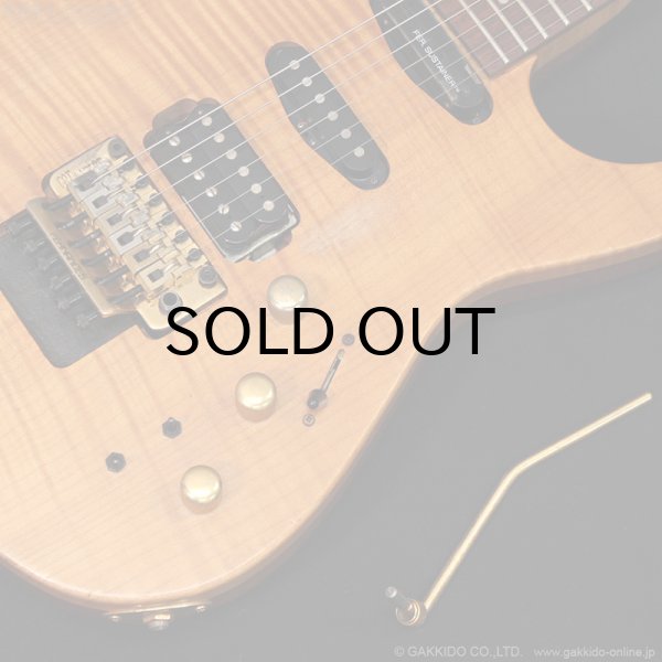 画像5: FERNANDES　FR-150Sタイプ [中古品] (5)
