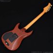 画像19: FERNANDES　FR-150Sタイプ [中古品] (19)