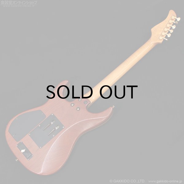 画像19: FERNANDES　FR-150Sタイプ [中古品] (19)
