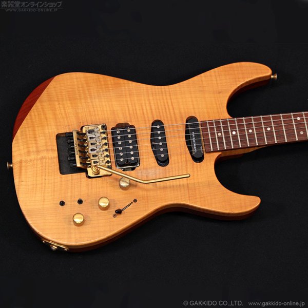 画像2: FERNANDES　FR-150Sタイプ [中古品] (2)