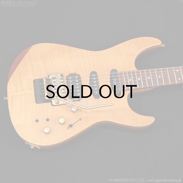 画像2: FERNANDES　FR-150Sタイプ [中古品] (2)