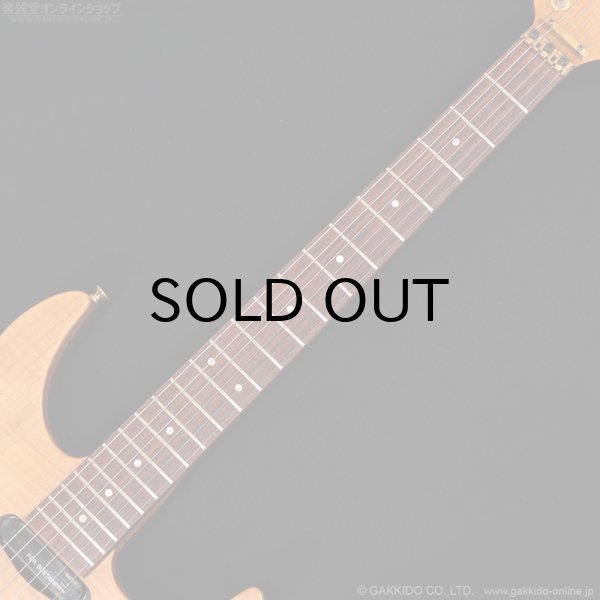 画像11: FERNANDES　FR-150Sタイプ [中古品] (11)