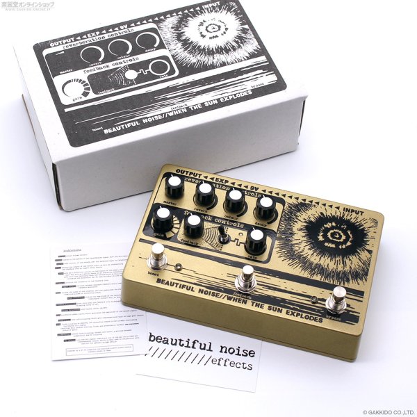 画像7: Beautiful Noise Effects　WHEN THE SUN EXPLODES リバーブ・ディストーション [Metallic Gold] 直輸入品 (7)