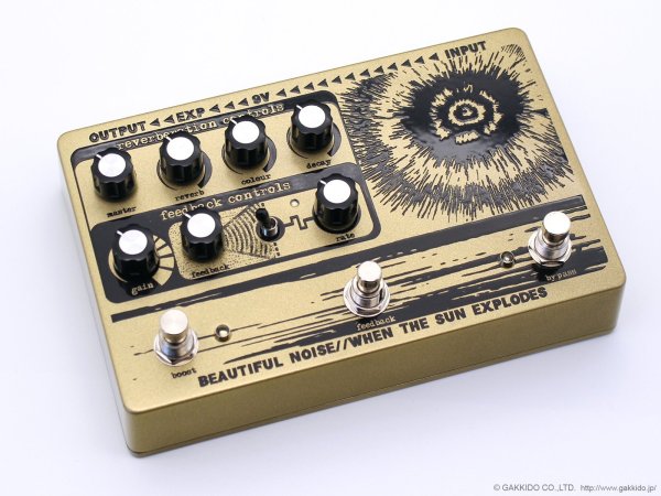 画像5: Beautiful Noise Effects　WHEN THE SUN EXPLODES リバーブ・ディストーション [Metallic Gold] 直輸入品 (5)