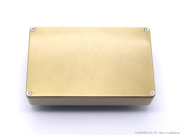 画像6: Beautiful Noise Effects　WHEN THE SUN EXPLODES リバーブ・ディストーション [Metallic Gold] 直輸入品 (6)